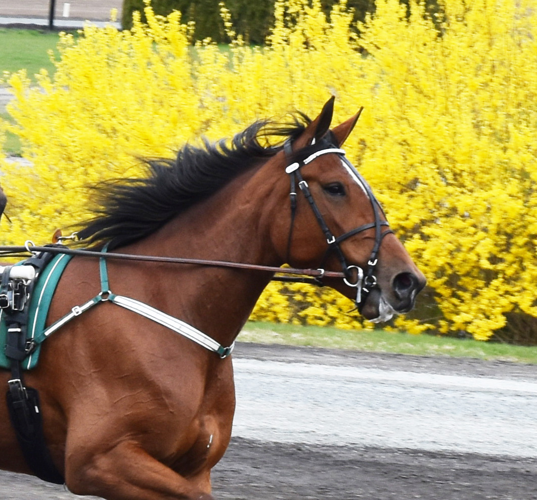 Futurity 230505-8